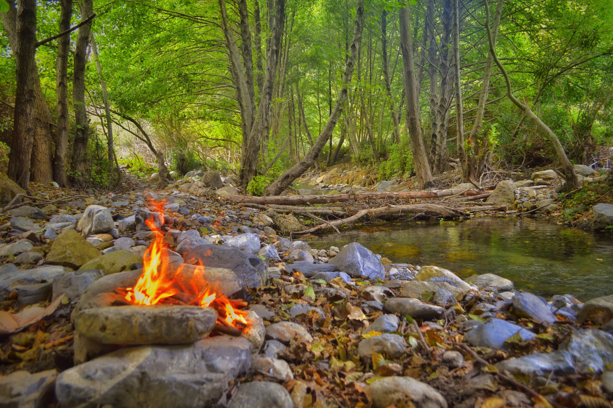 Camping with Friends: The Ultimate Guide to Group Adventures in Nature